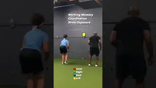 Working on connecting the eyes, brain, and feet using the SwitchedOn app