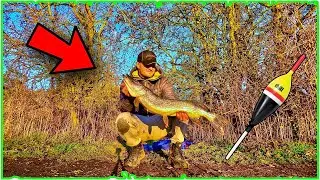 DEADBAITING for PIKE on the GRAND UNION CANAL - UK WINTER canal fishing (Ep 5)