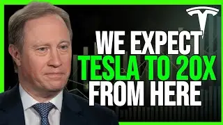 Morgan Stanley Brings MASSIVE NEWS to Tesla Stock Holders!