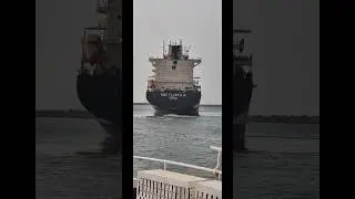 MSC Flosta