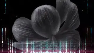 Roudeep   Show It Original Mix