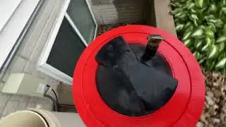 Pentair cartridge filter removal & install