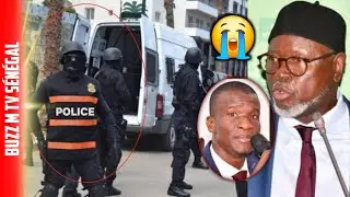 ‼️Urgent🚨Nouveaux L'arrestation😭Bamba Cissé Décidé de...Alioune Tine Est🙊🚨🚨#sonko 