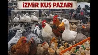 İZMİR KUŞ PAZARI GÜNCEL VİDEO