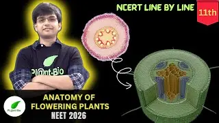 Introduction of Plant Anatomy | Lecture-1 | Anatomy of Flowering Plants Class 11 Biology | NEET 2026