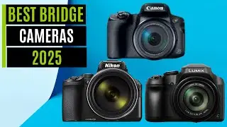 Best Bridge Cameras 2025 [Watch This Before You Make a Choice!]
