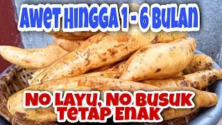 Cara Menyimpan Ubi Jalar Agar Tahan Lama⁉️Awet Hingga 1-6 Bulanan an‼️
