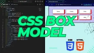 CSS Box Model || The Ins and Outs 😲