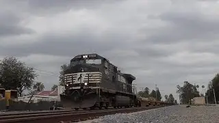 Union Pacific Manifests, Stacks and Norfolk Southern on the Alhambra sub