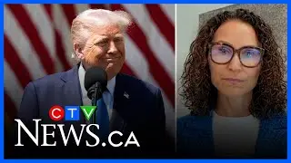 B.C.-based film studio CEO says Trump's tariffs 'going to be devastating' on non-U.S. movies
