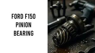 Ford F150 Pinion Bearing
