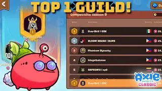 THE CHAMPIONS! 🏆 Top 1 Guild + 9-1 in Mini Tournament! | Axie Classic