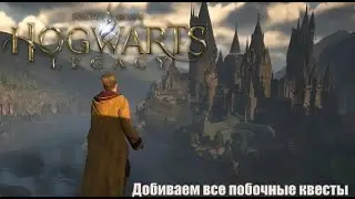 Прохождение Hogwarts Legacy [PS4] (Часть 92) ДОБИВАЕМ ДОП МИССИИ