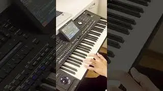 🎹 Ertan Grand &ndash; Rumba Narodna MASTER SET za Korg Pa5X