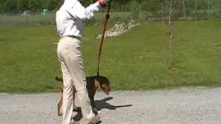 HSDC President, Melissa Lee, talks about Soft~Pull Mighty Leash