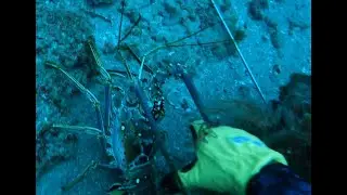 New spot becomes 55 lb recovery