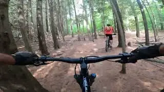 Busy Livin - Johnnys Swamp of Doom - Carrick Tract Trail System