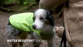 RC Pets : Luna Hi Vis Vest