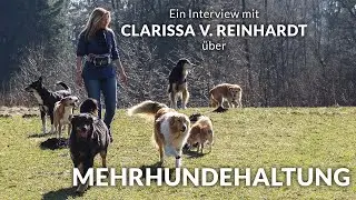 Mehrhundehaltung und viele weitere Themen in einem Interview mit Clarissa v. Reinhardt