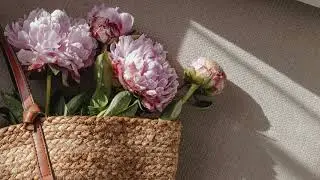 Backsound Cinematic Slow Beat, Whispers in the Wind