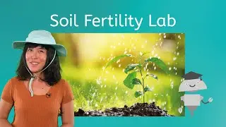 Soil Fertility Lab - The Relationship Between Soil Fertility and Productivity