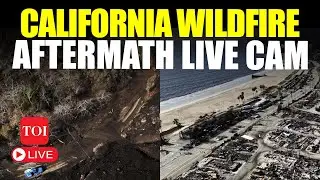 California Wildfire LIVE Updates: Aerial Footage Shows Big Damage From Palisades Fire | LA Fire