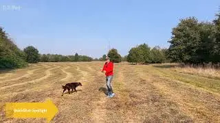 DJI Neo Spotlight Testshot