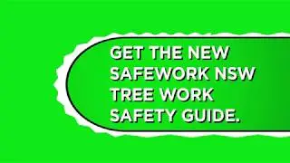Tree work safety guide