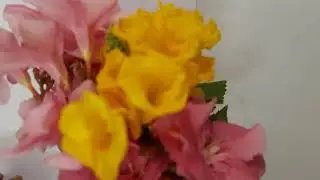 English..parts of Speech -1