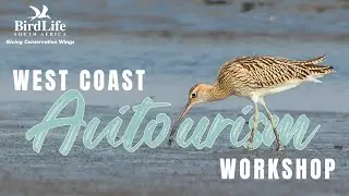 West Coast Avitourism Workshop - John Kinghorn (21Aug25)