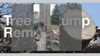 Tree Services Central Iowa Aeration Deep Root Stimulation Treatment 641-236-5578