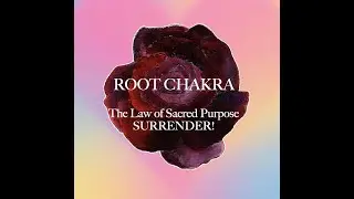 Home to the Heart Book Club, ROOT CHAKRA, pages 81-85 Surrender!
