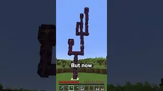 Chorus Fruit are actually useful now in Minecraft