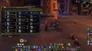 World of Warcraft : MoP - Survival Hunter PvE Guide 5.3/5.4