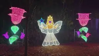 ✨ Perunal Lights at St. Peter&rsquo;s SMCC, Attachakkal ✨