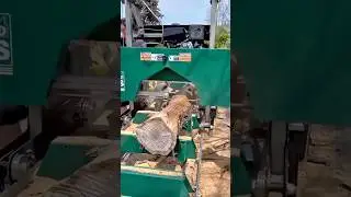 Large Portable Bandsaw Mill Slicing a Tree Log into Lumber Boards