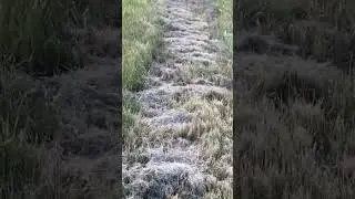 Walk to Beaverlodge (fail) part3 #grandeprairie#suicideprevention