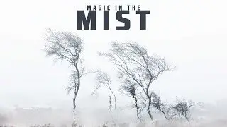 Magic in the Mist | Landscape Photography