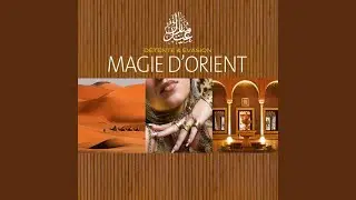 Paris / Marrakech
