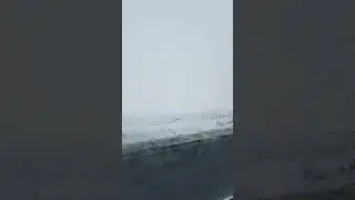 Foggy and snowy