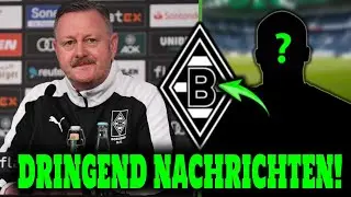 😱💰 JETZT BEST&Auml;TIGT! &Uuml;BERRASCHENDE TRANSFERBEWEGUNG! DIE FOHLEN