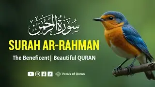 Surah Ar-Rahman (سورة الرحمن) | Peaceful Lofi Quran Recitation for Healing & Calm | Vocal of Quran