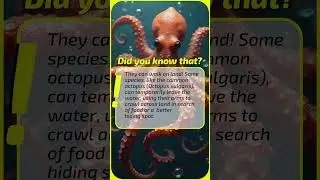 Did you know that? #animalfacts #trivia #octopus