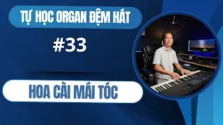 BÀI  33 | HOA CÀI MÁI TÓC  | TỰ HỌC ĐÀN ORGAN ĐỆM HÁT