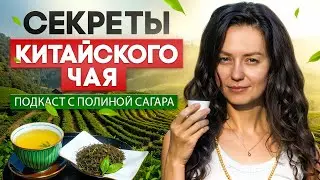 Чайный путь: бизнес, чемпионаты и туры по Китаю с Полиной Сагара