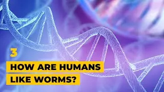 How are humans like worms? │ Sending Worms to Space with Colleen Deane