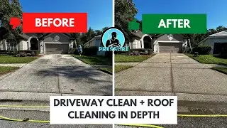 Driveway Clean + Roof Soft Wash In Depth