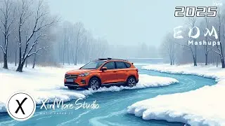 BASS-BOOSTED TRACKS 2025 🎶 CAR STEREO HITS 2025 🎶 HEAVY BASS SOUNDTRACK