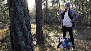 Can a Mojang Employee Survive the Night in a REAL Forest?