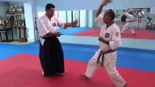 Nippon Shinkyoku Ryu Taijitsu